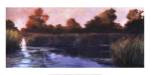 The Lily Pond by Philip Craig