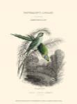 The Naturalist's Library I by W.H. Lizars