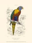 The Naturalist's Library III by W.H. Lizars