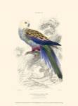 The Naturalist's Library IV by W.H. Lizars