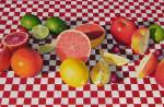 The Picnic by Jenny Stewart