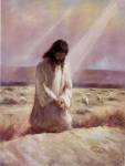 The Shepherd by Richard Judson Zolan