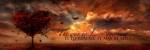 The Way to Love Anything by Jason Bullard