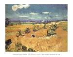 The Wheat Field, 1888 by Vincent van Gogh
