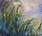 The Yellow Iris by Claude Monet