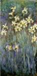 The Yellow Irises by Claude Monet