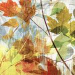 Thicket I Left by John Butler