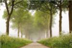 This Appears by Lars Van De Goor