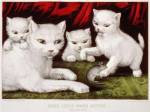 Three Little White Kitties
