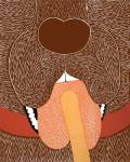 Throat Exam Choc by Stephen Huneck