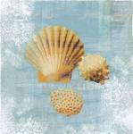 Tidal Treasures by Wild Apple Portfolio