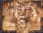 Tiger by Annrika McCavitt