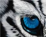 Tiger Eye by Jan Henderson