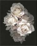 Timeless by S.G. Rose