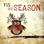 Tis the Season by Marla Rae