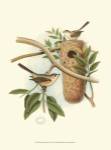Titmouse & Nest