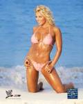 Torrie Wilson - #233