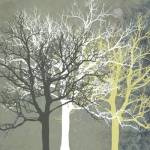 Tranquil Forest by Erin Clark