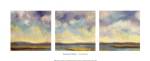 Tranquility by Suzanne Nicoll