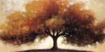 Transition by Connie Geerts