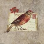 Traveler Bird I by Katie Pertiet
