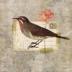 Traveler Bird II by Katie Pertiet
