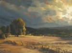 Tree In A Sunlit Field by Steve Henderson