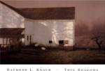 Tree Shadows by Raymond L. Knaub