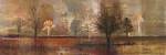 Tree Shadows I by John Douglas