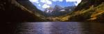 Trees in a forest, Snowmass Wilderness Area, Maroon Bells, Colorado, USA by Panoramic Images