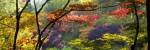 Trees in a garden, Butchart Gardens, Victoria, Vancouver Island, British Columbia, Canada by Panoramic Images