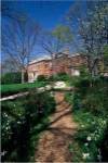 Trees in a garden, Dumbarton Oaks House, Georgetown, Washington DC, USA
