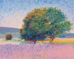 Trees in Provence by Gail Wells-hess