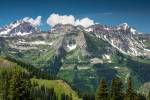 Trees on a Mountain, Crested Butte, Colorado by Panoramic Images