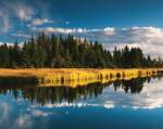 Trees reflecting in Snake River, Grand Teton National Park, Wyoming by Adam Jones / Danita Delimont