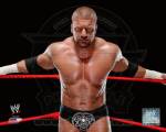 Triple H 2013 Posed