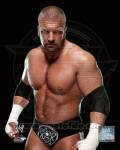Triple H 2013 Posed