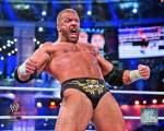Triple H Wrestlemania 29 Action