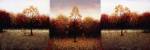 Trois Scenes by Travis Hall