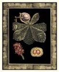 Tropical Bounty II by Vision Studios
