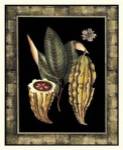 Tropical Bounty IV by Vision Studios