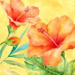 Tropical Paradise Brights II by Cynthia Coulter