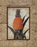 Tropical Pineapple II by Victoria Hassy