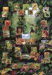 Tropical Rain Forest