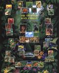 Tropical Rain Forest