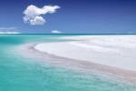 Tropical Simplicity by Dennis Frates