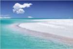 Tropical Simplicity by Dennis Frates