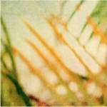 Tropical Texture I by Emily Robinson