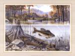Trout Underwater by Ron Jenkins
