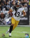 Troy Polamalu 2013 Action